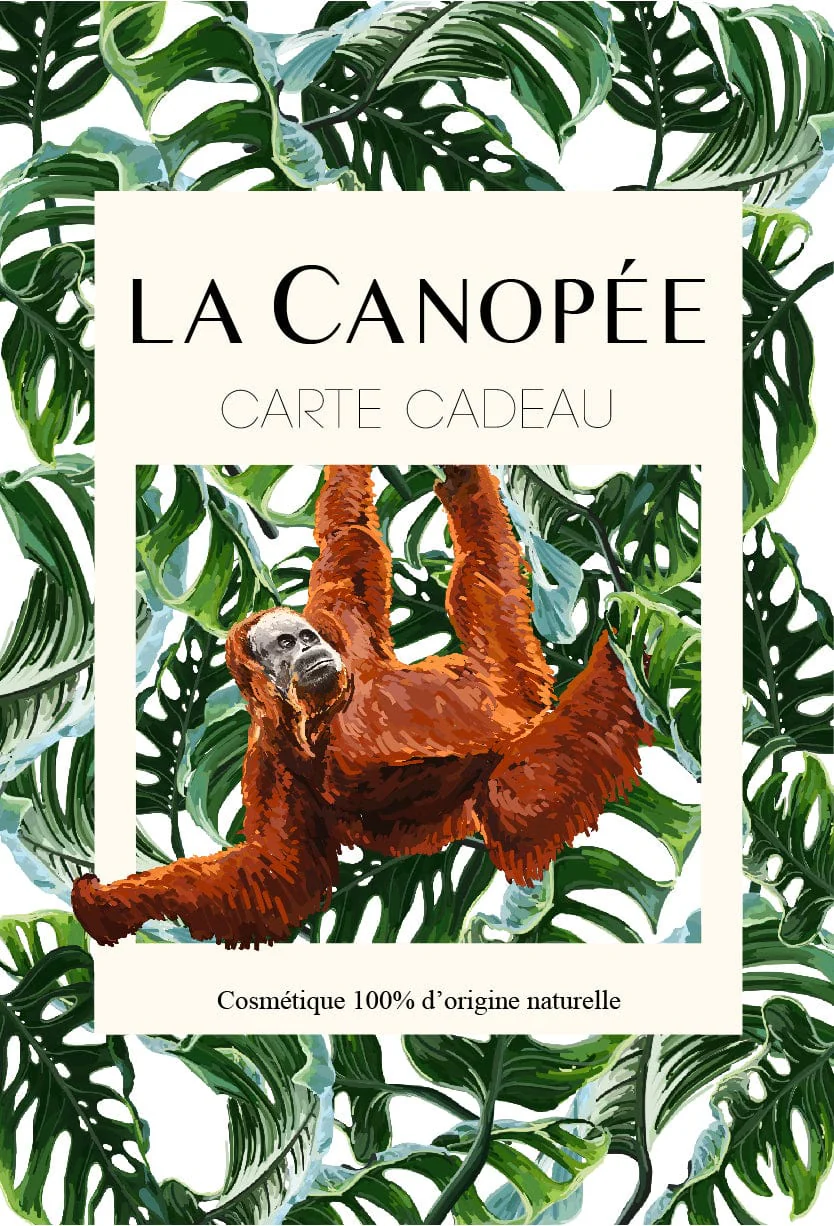 Carte cadeau - Image 7
